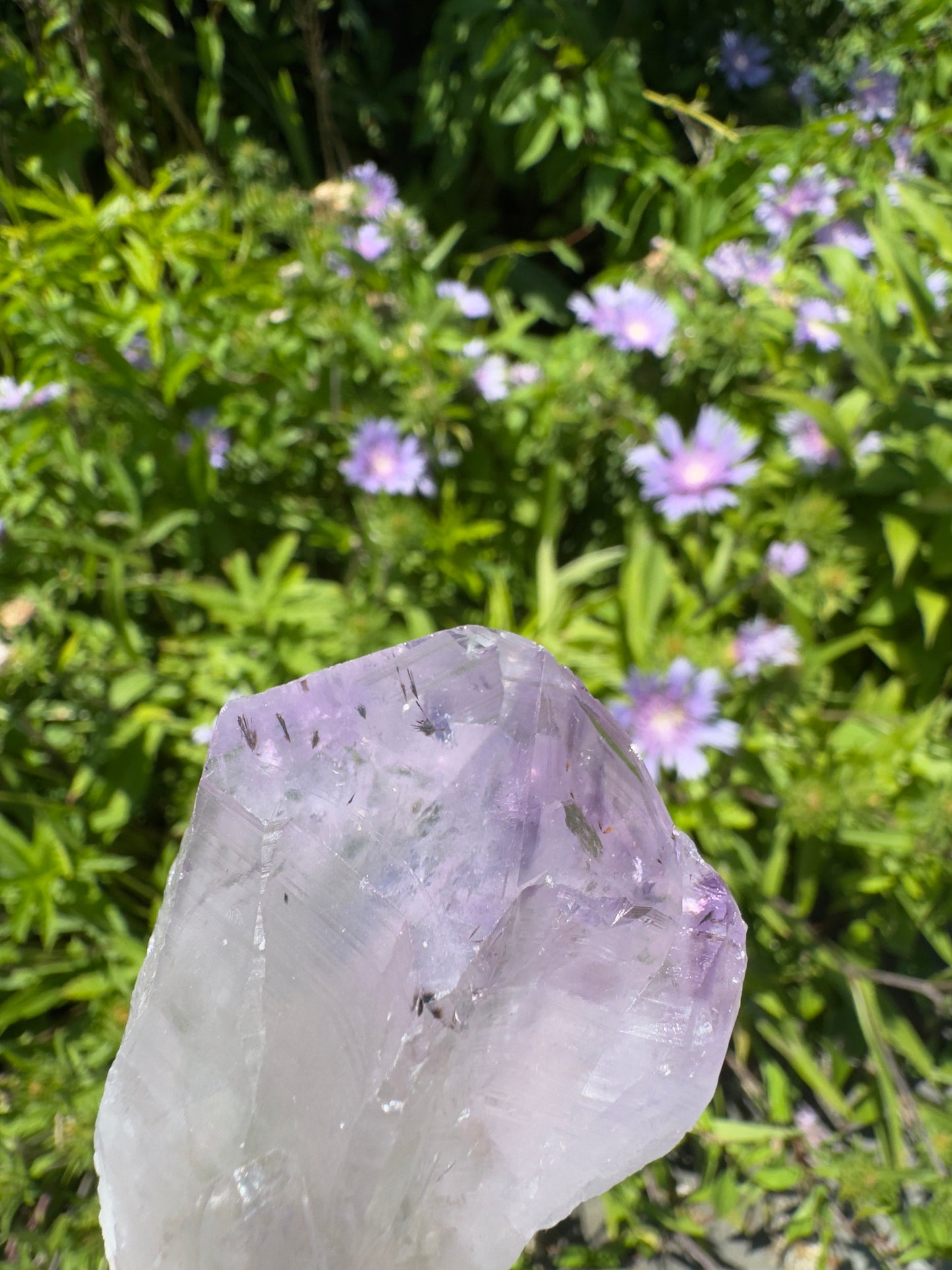 Brazilian Amethyst: Messenger of the Harvest