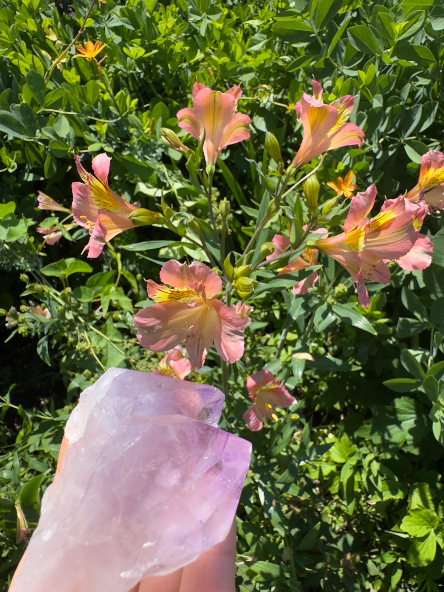 Whispering Amethyst · Brazilian Twin Points