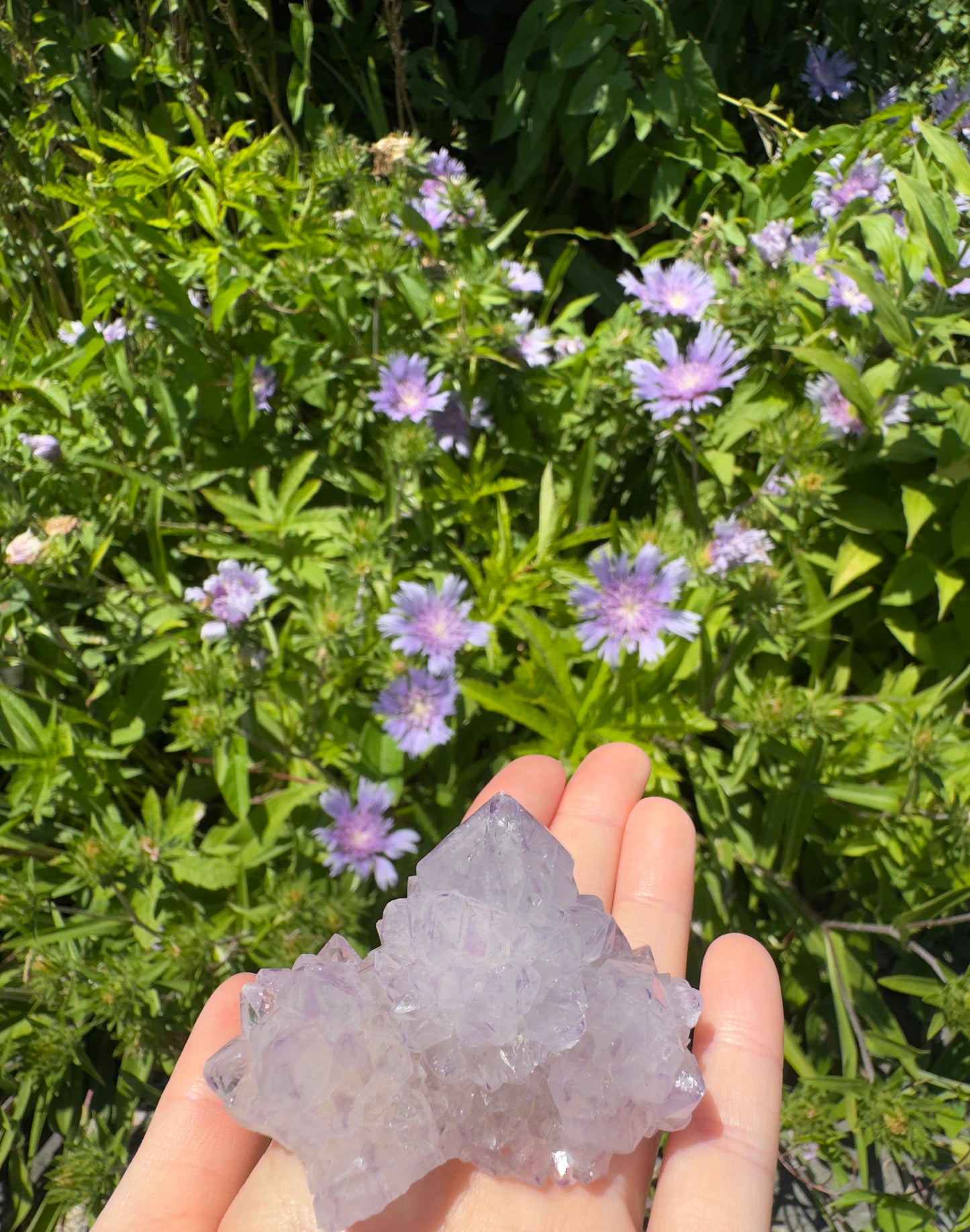 African Spirit Quartz Cluster · Harmony & Light