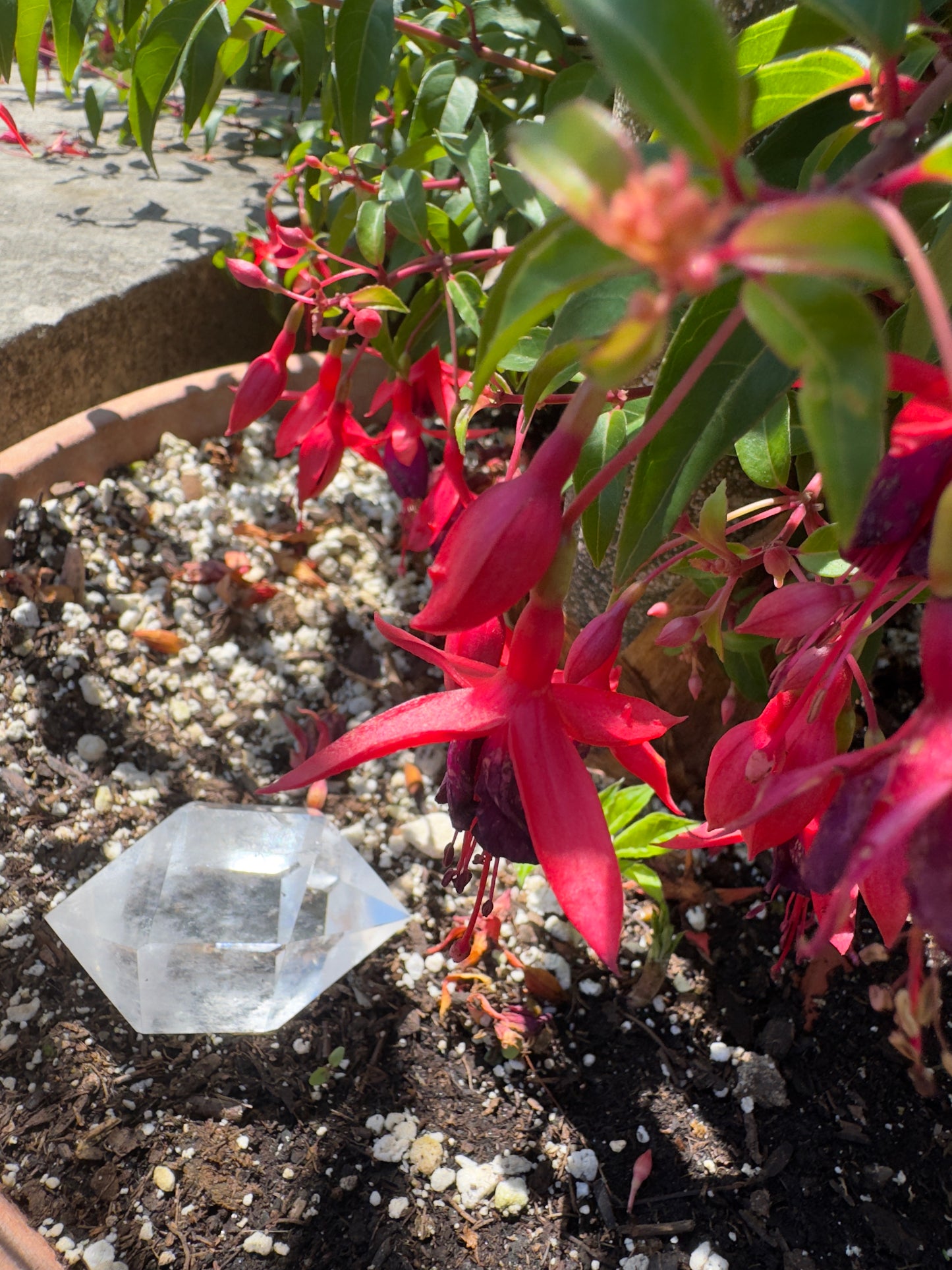 Clear Quartz Amplifier · Double-Terminated Point