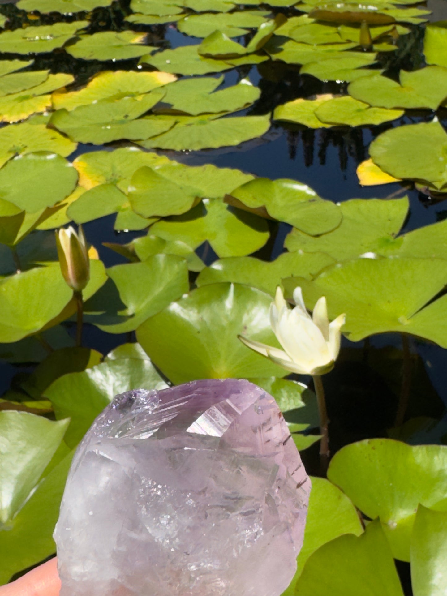 Brazilian Amethyst: Messenger of the Harvest