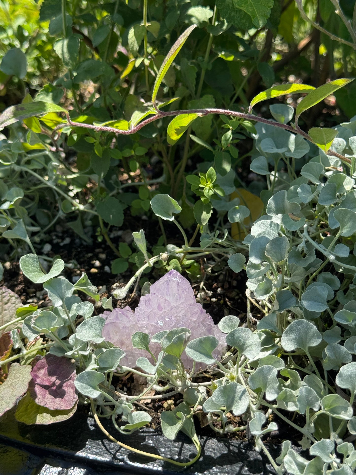 African Spirit Quartz Cluster · Harmony & Light