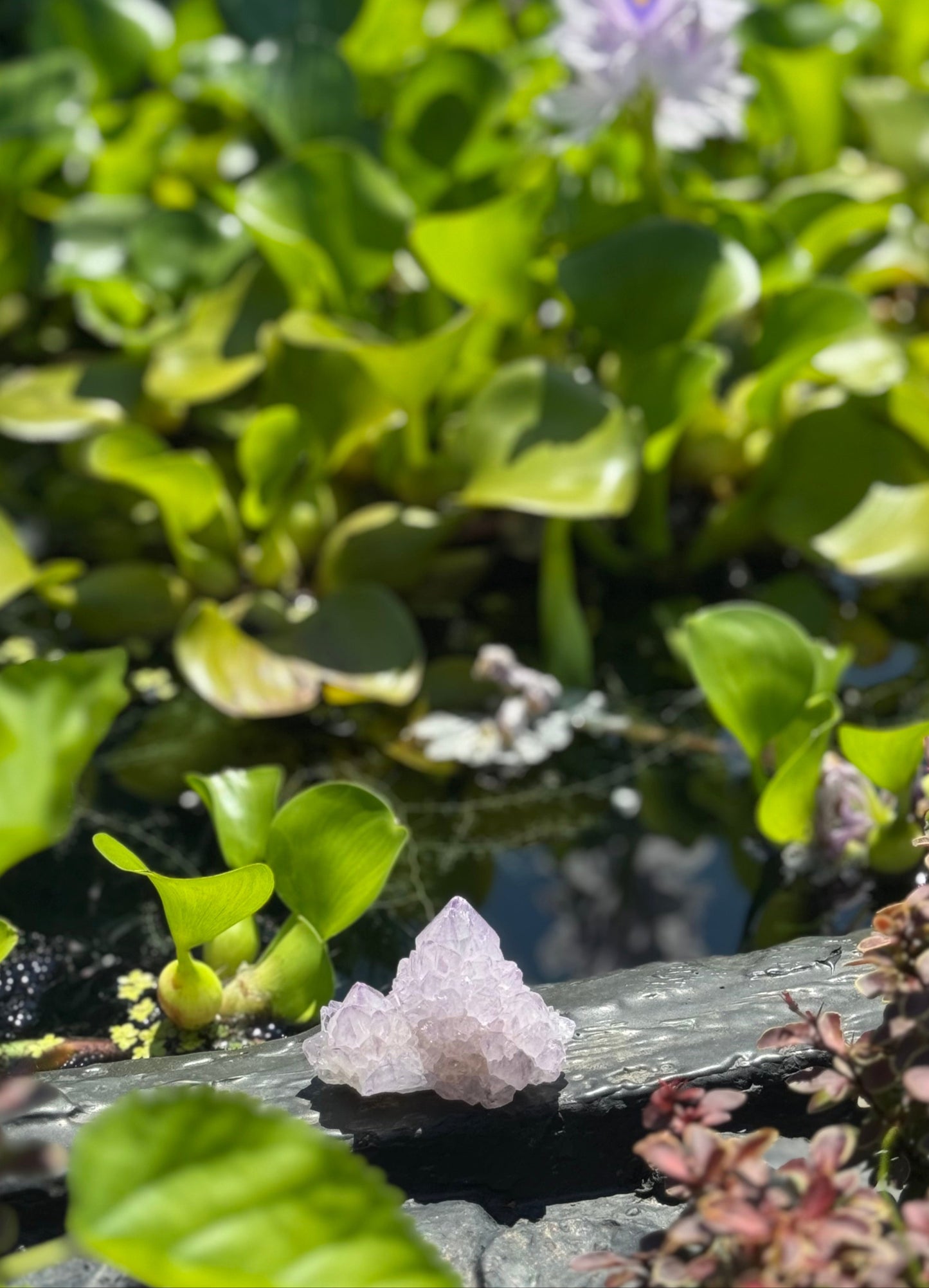 African Spirit Quartz Cluster · Harmony & Light
