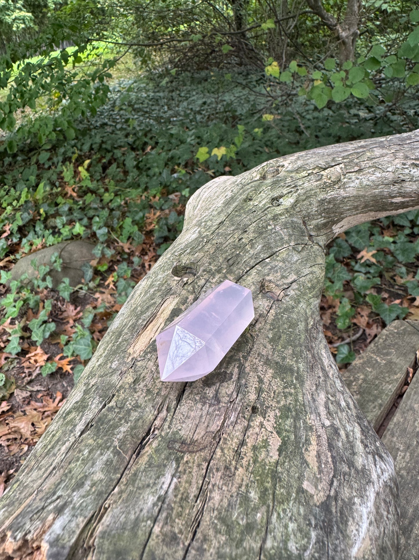 Rose Quartz Point · Heart Clarity & Alignment