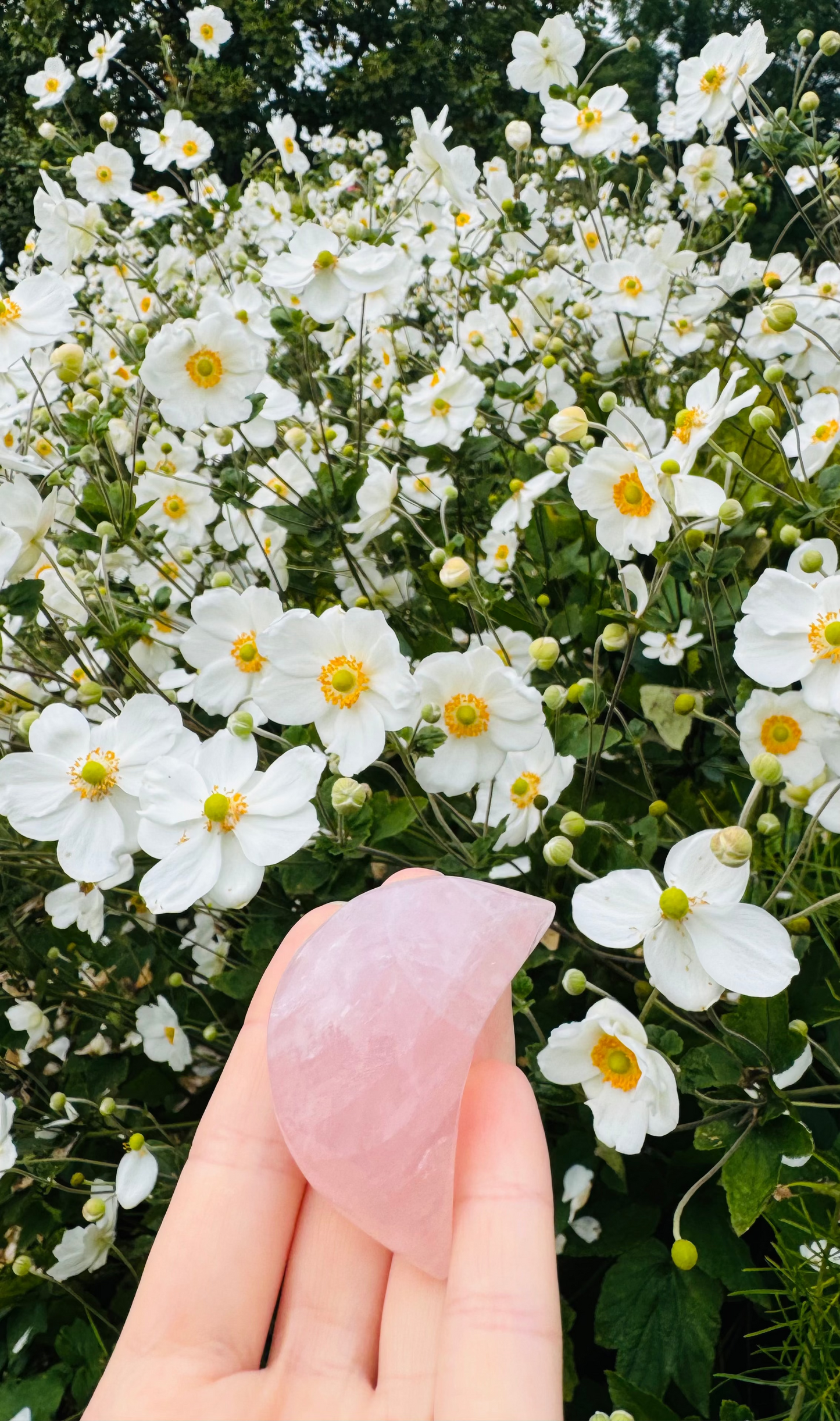 Rose Quartz Moon · Gentle Self-Love Crystal